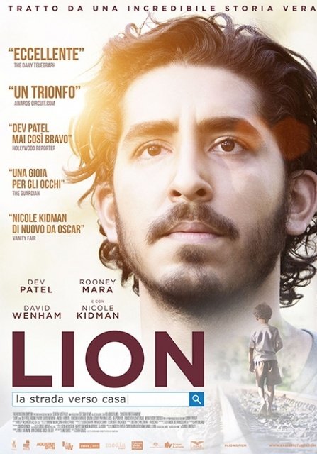ლომი / Lion / lomi