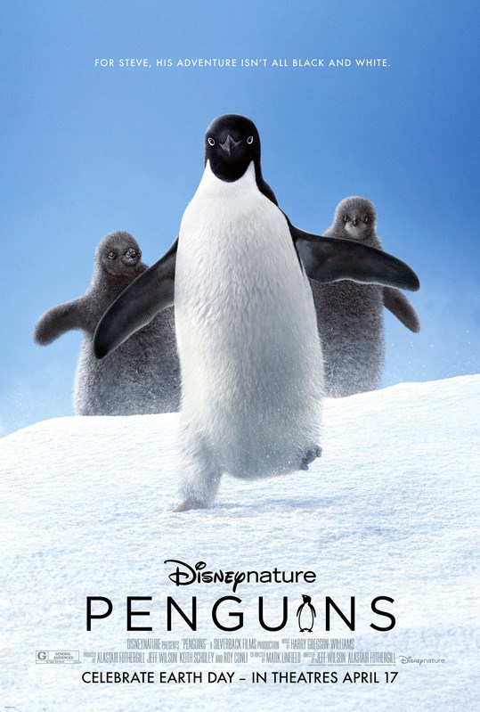 პინგვინები / pingvinebi / Penguins