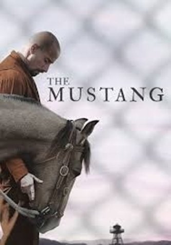 ფილმი არის მოძალადე რომან კოლემანის შესახებ. მას საშუალება მიეცემა მონაწილეობა მიიღოს რეაბილიტაციის თერაპიის პროგრამაში. მან ველური მუსტანგი უნდა მოათვინიეროს.