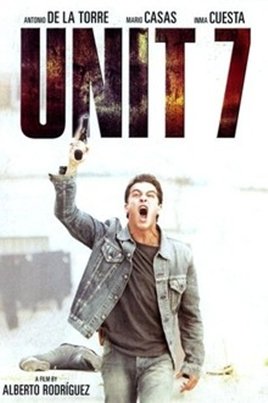 ჯგუფი 7 პოლიციის სპეციალური რაზმია განსაკუთრებით მნიშვნელოვანი დავალებით: გაწმინდოს ქალაქი პროსტიტუციისა და ნარკოტრაფიკისგან. რაზმს სათავეში უდგანან ახალგაზრდა ოფიცერი ანხელი და სასტიკი, მაგრამ გამოცდილი პოლიციელი რაფაელი.