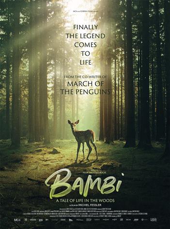 დაბადებიდანვე ბემბი დედასთან ახლოსაა და ტყეში გადარჩენას სწავლობს. ის მეგობრებს იძენს, მაგრამ მას შემდეგ, რაც მონადირეები დედას კლავენ, ობოლი ხდება. მამის ხელმძღვანელობით ბემბი ცხოვრებისეულ საფრთხეებში ნავიგაციას სწავლობს და მწიფდება...