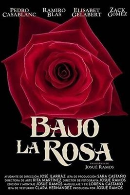 ოლივერისა და ჯულიას ქალიშვილი სარა მოულოდნელად უჩინარდება. დრო მიდის, ახალი კი არაფერია, თუმცა ერთ დღეს, ოჯახი წერილს მიიღებს, სადაც უცნობი პიროვნება ამტკიცებს, რომ სარა მასთანაა და მის მშობლებთან მოლაპარაკება სურს.